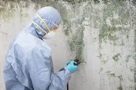 Asbestos and Lead Testing During Mold Inspection in Effingham, IL